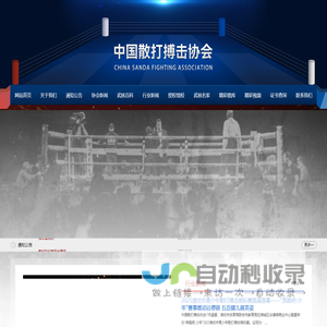 中国散打搏击协会